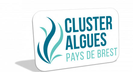 clusteralgues Pays de Brest1