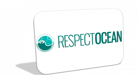 Respect ocean1png