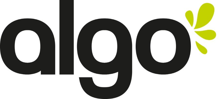 logo_Algo_Paint