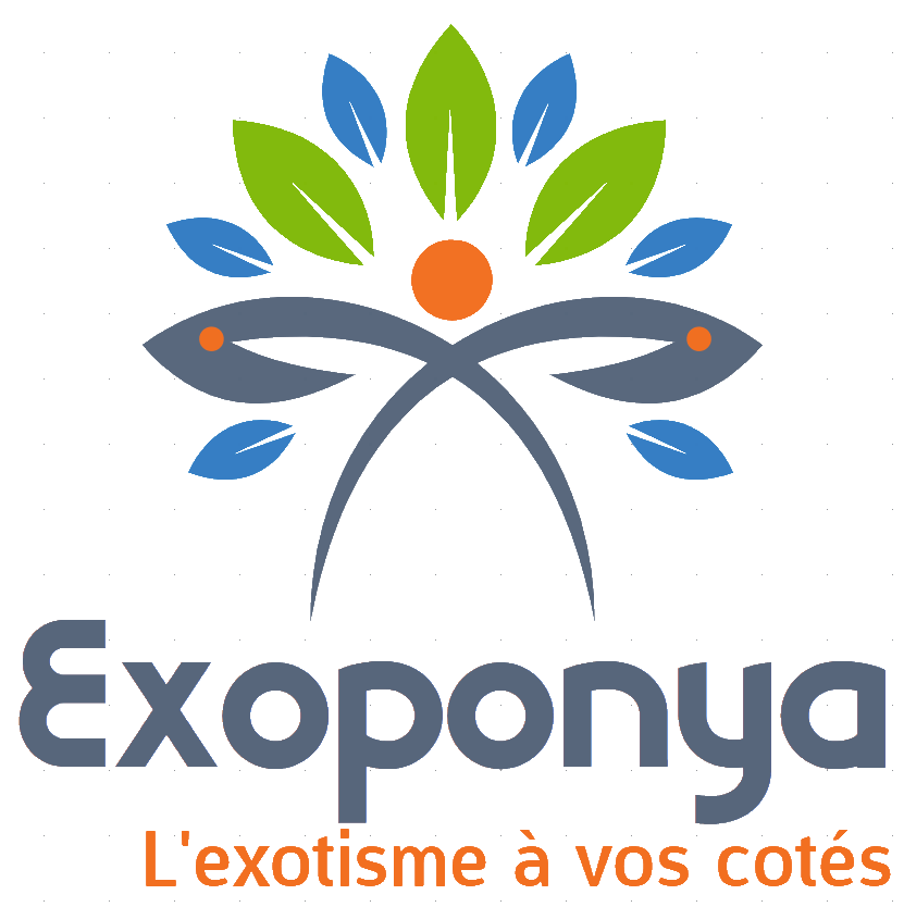 logo-exoponya-png